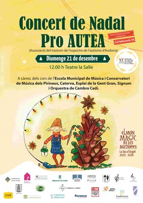 Concert de Nadal amb les corals de la Seu i l’Orquestra de Cambra Cadí 
