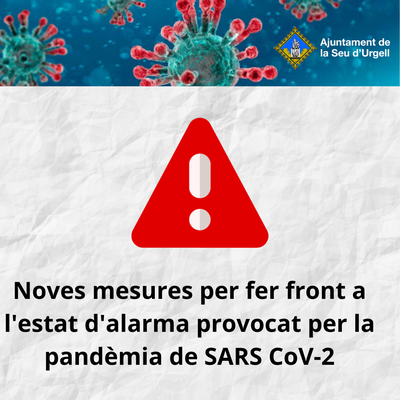 El Consorci d’Atenció a les Persones de l’Alt Urgell organitza un servei d’ajut a domicili a través de la Seu en Xarxa 