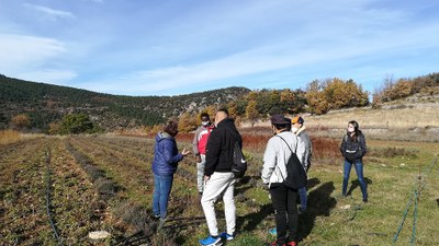 El Pla de Transició al Treball de la Seu d’Urgell, guardonat en els Premis Impulsa FP que atorga el Departament d’Educació a Lleida 