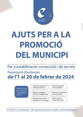 L’Ajuntament de la Seu d’Urgell aprova la convocatòria de subvencions per a la promoció del municipi 2024 adreçats a comerços i serveis 
