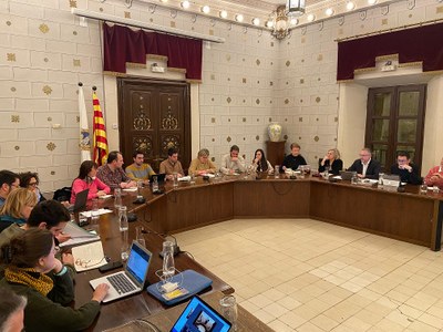 L’Ajuntament de la Seu d’Urgell aprova un pressupost municipal de més de 34 milions d’euros per aquest any 2024 