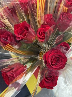L’Ajuntament de la Seu d’Urgell obre el període d’inscripcions per a les parades de Sant Jordi i de la Festa Major 