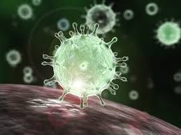 La Seu d’Urgell amplia les mesures preventives davant la fase d’alerta pel coronavirus decretada pel Govern 