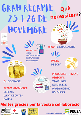 La Seu d’Urgell i comarca se sumen, un any més, al Gran Recapte d’Aliments