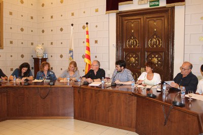 L'Ajuntament de la Seu d'Urgell aprova les modificacions de les ordenances de sorolls i guals 