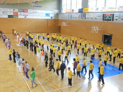 Obertes les inscripcions per participar a la Diada Esportiva de la Gent Gran de la Seu d'Urgell i Andorra 
