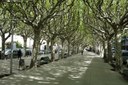 Passeig Joan Brudieu 02