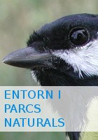BT_PARCS_NATURALS