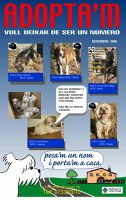Adopta'm